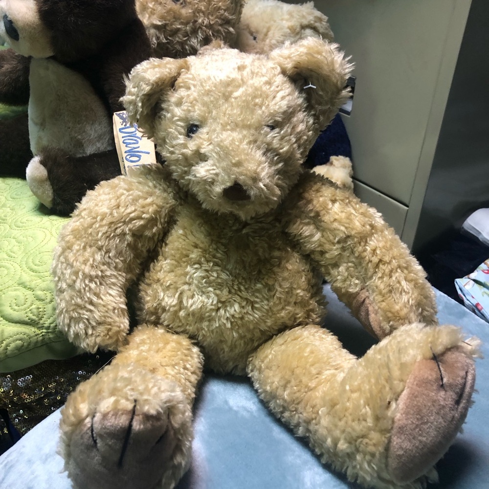 16 in tan bear. New has been stored.🧸